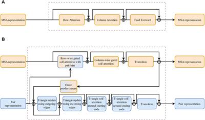 AlphaFold2 in biomedical research: facilitating the development of diagnostic strategies for disease